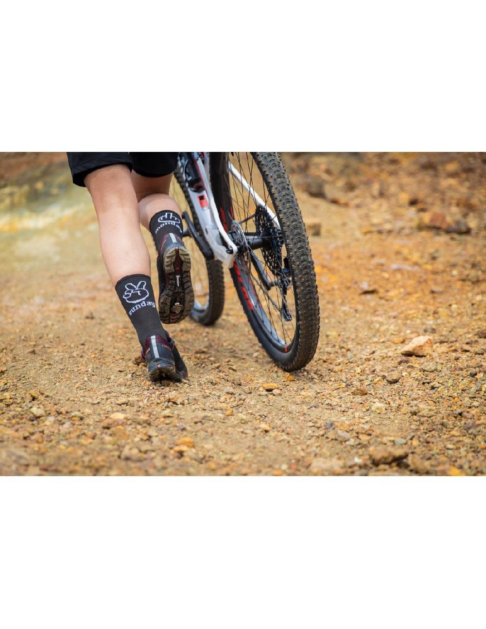 Northwave SUNDAY MONDAY CALZINO Shopping Online