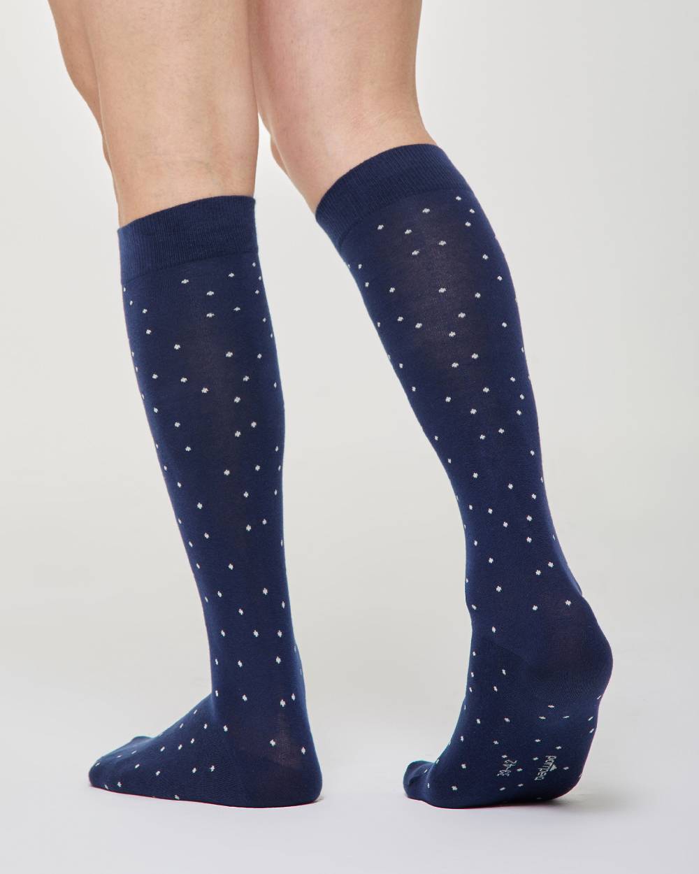 Pompea Calza lunga Ermanno cotone micro pois Lightning offer
