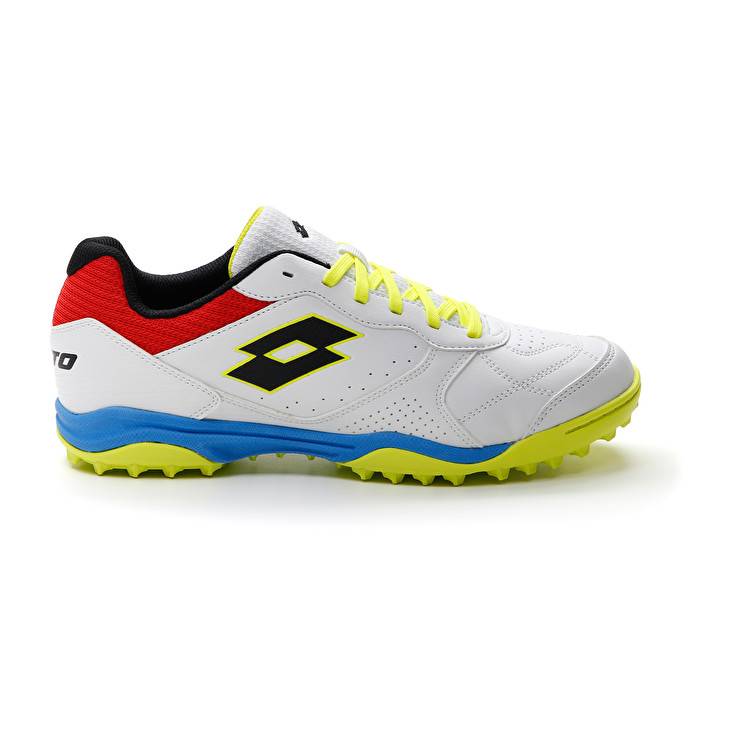 Lotto TACTO 300 VII TF