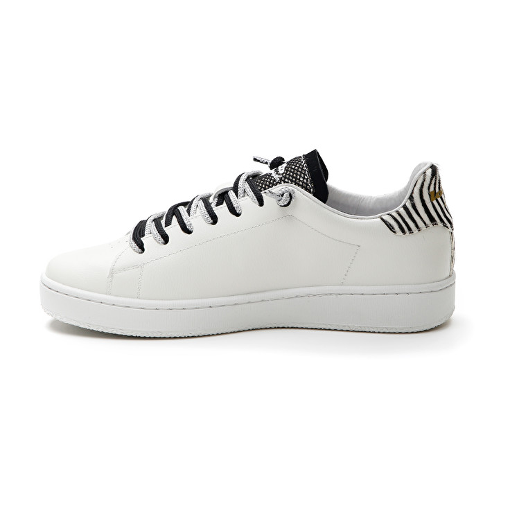 Lotto AUTOGRAPH ZEBRA W Offerta