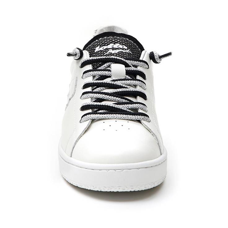 Lotto AUTOGRAPH ZEBRA W Offerta
