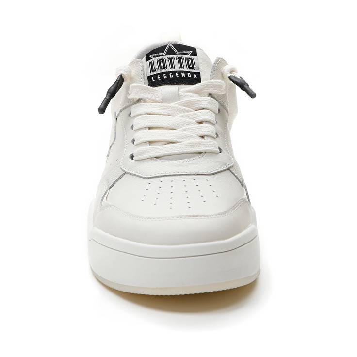 Lotto HOOP STARS In Linea