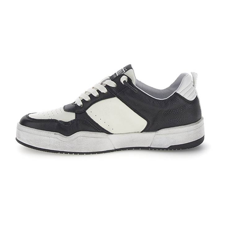 Lotto HOOP STARS BLOCK Acquista Ora