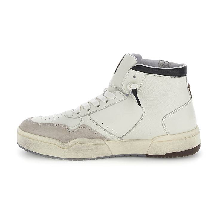 Lotto HOOP STARS HIGH SUEDE Shopping Online