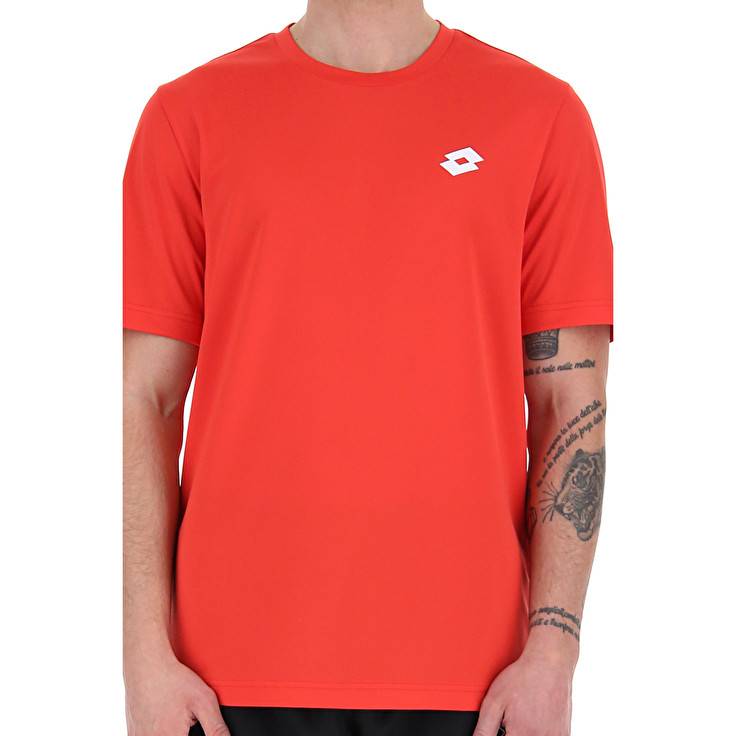 Lotto MSP TEE Qualità Garantita